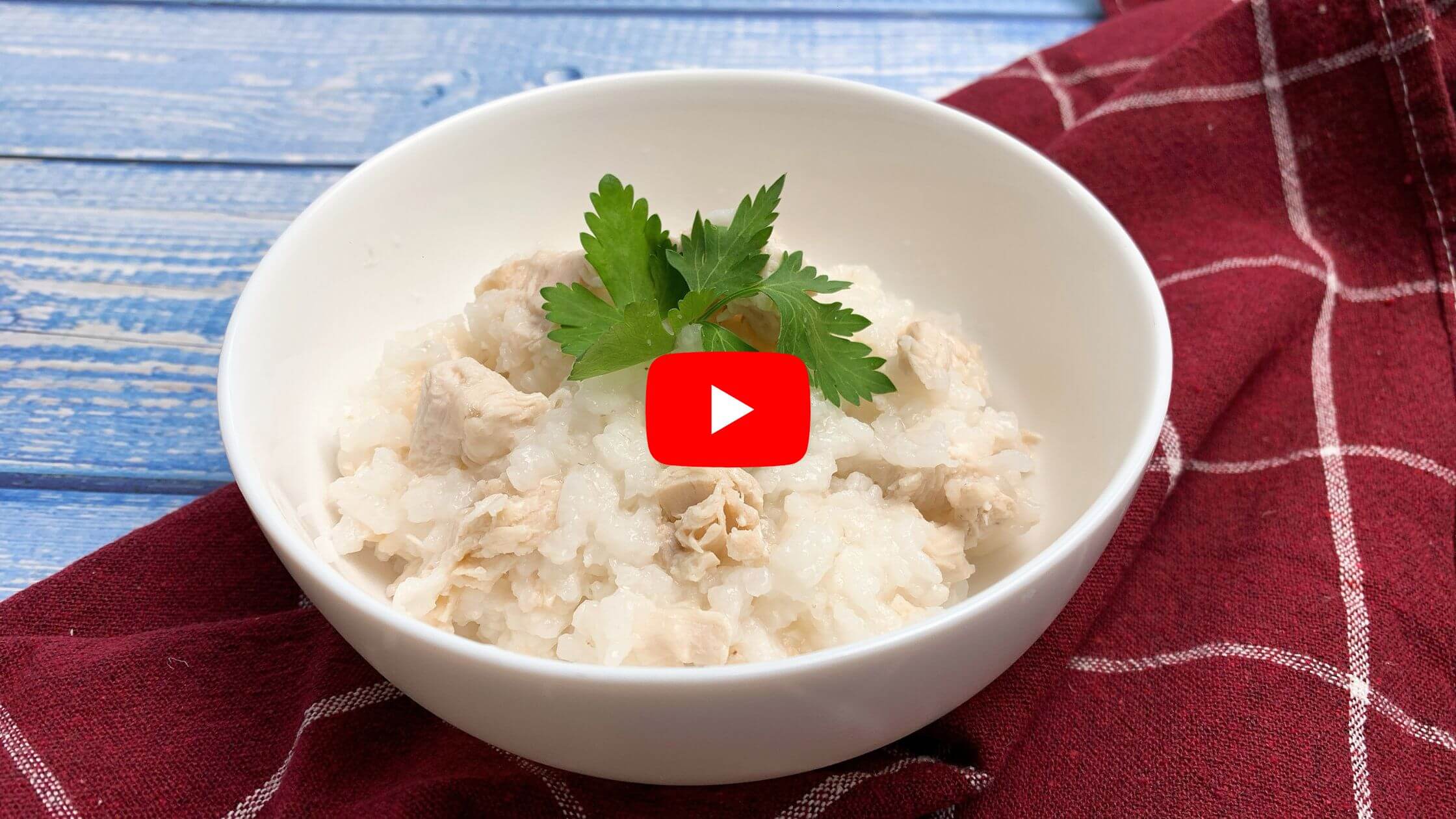 chicken-and-rice-for-sick-dogs-homemade-dog-food-recipe-pet-and-pals